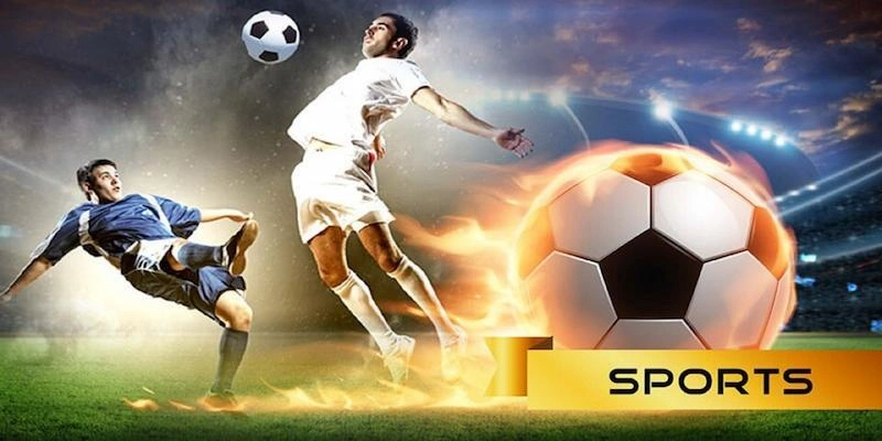 Bí quyết tham gia thể thao SHBET cực hữu ích